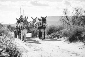 Cederberg Heritage trails