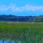 Greyton Nature Reserve