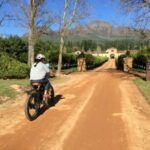 vine bikes