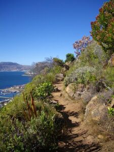 Forest Of Good Hope Walk