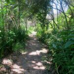 Pledge Nature Reserve