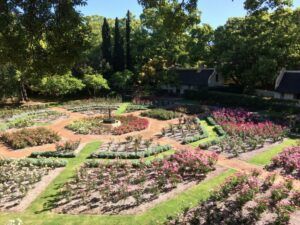 Gardens at Vergelegen