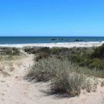 Britannia Bay Beach