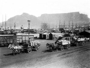 Cape Town Docks