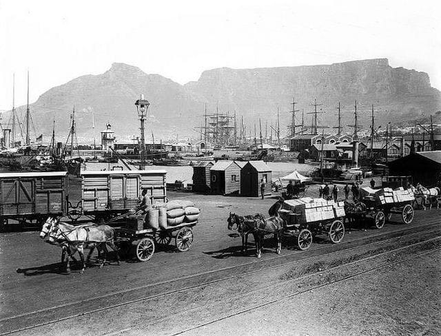 Cape Town Docks