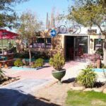 Desert Rose Farm Stall