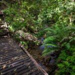 Grootbos private nature reserve
