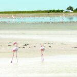 Wamakersvlei beach farm