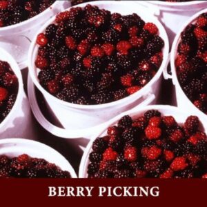 The Berry guest farm