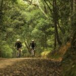 Grootvaderbosch MTB track