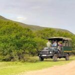 Giraffe Rescue and Research South Africa