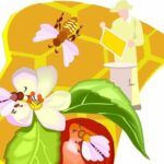 The farmyard honey factory