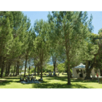 Picnic at Werf farm