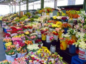 Adderley street Flower market