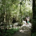 Garden of Eden
