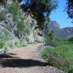 Lover's walk