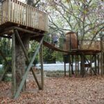 Big Tree play area