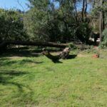 Helderberg farm