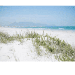 Van Riebeekstrand Beach