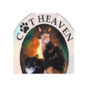 Cat heaven