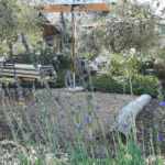 Owl's rest olive and lavender farm