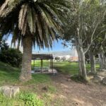 Rugley road park