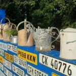 The FARM STALL Market