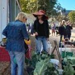 VanWyksdorp Community Market