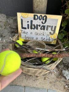 Little Library