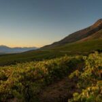 Allesverloren Wine Estate