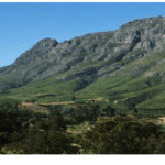 Alluvia Boutique Winery