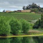 Almenkerk Wine Estate