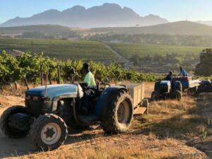 Asara Wine Estate
