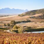 AA Badenhorst Family Wines