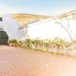 Cloof wine estate