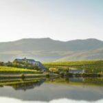 Creation Wines