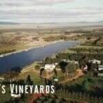 Franki's Vineyards