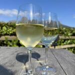 Guardian Peak wine estate