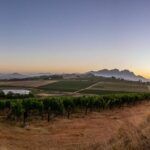 Hartenberg Wine Estate