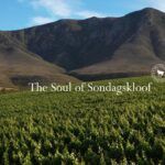 Hermanuspietersfontein wines