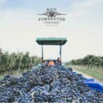 Ken forester wines