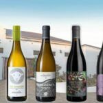 Lammershoek Winery