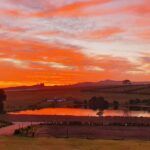 Middelvlei Wine Estate