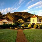 Morgenhof Wines