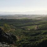 Paul Cluver Wines