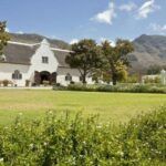 Steenberg Wine Estate