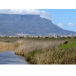The Diep River