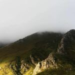Boosmansbos Wilderness area