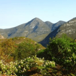 The Outeniqua mountains