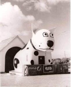 The Spotty Dog